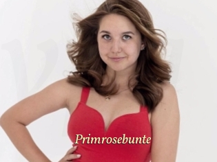 Primrosebunte