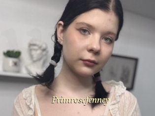 Primrosefenney