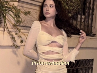 Primrosehankin