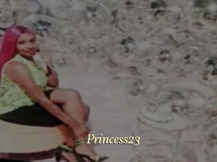 princess23 Vidéo porno gratuite