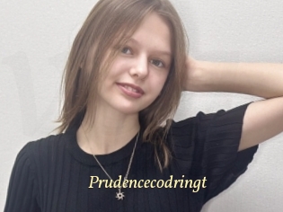 Prudencecodringt