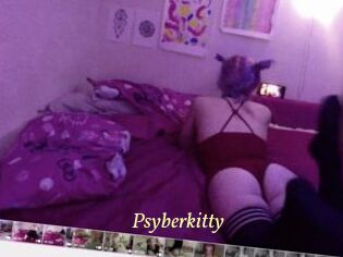 Psyberkitty