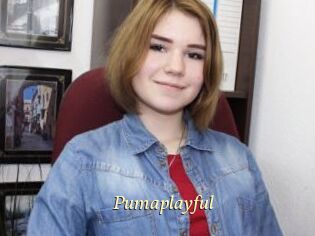 Pumaplayful