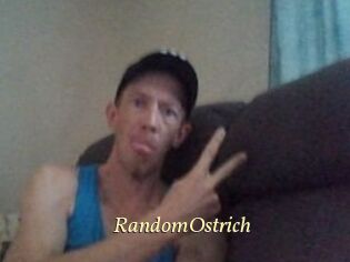 RandomOstrich