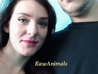 RawAnimals