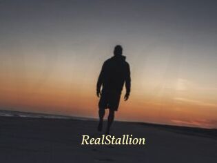 RealStallion