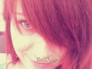 RedDaisy