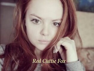 Red_Cuttie_Fox