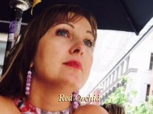 Red_Orchid