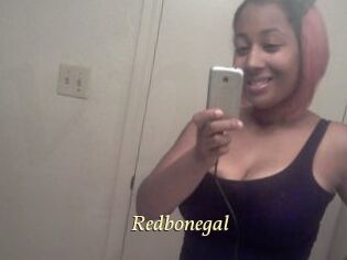 Redbonegal