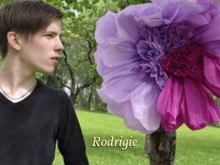 Rodrigie