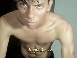 RogueBoy22