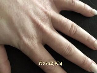 Rosa2904
