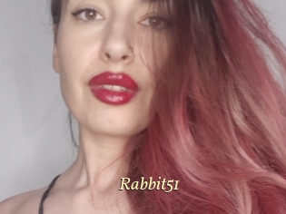 Rabbit51