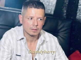 Ranndyharry