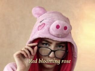 red_blooming_rose Vidéo porno gratuite