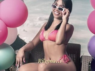 Rileynacci