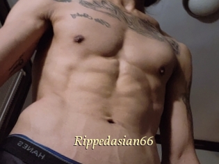 Rippedasian66