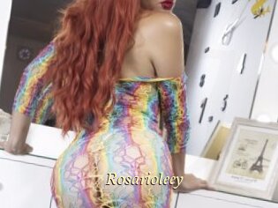 Rosarioleey