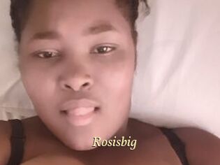 Rosisbig