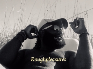 Roughpleasures