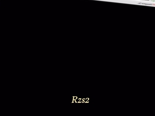 Rzs2