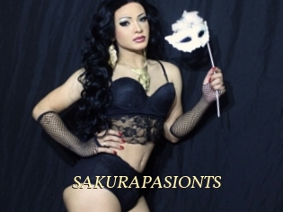 SAKURAPASIONTS Vidéo porno gratuite