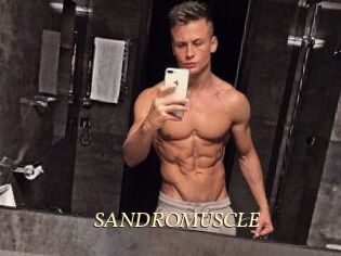 SANDRO_MUSCLE