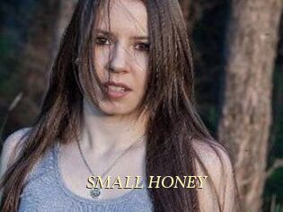SMALL_HONEY