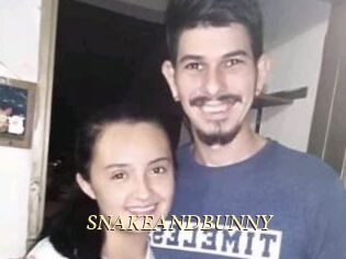SNAKEANDBUNNY