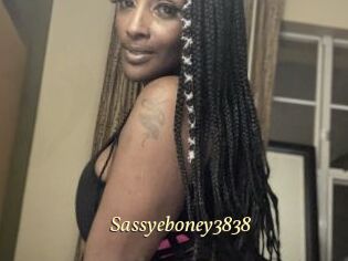 Sassyeboney3838