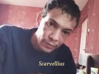 Scarvellius