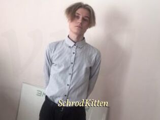 SchrodKitten
