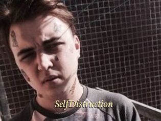 SelfDistruction