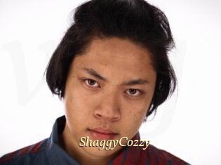 ShaggyCozzy