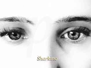 Sharkino