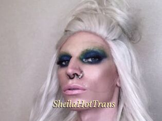 SheilaHotTrans