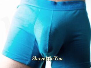 ShoveItInYou