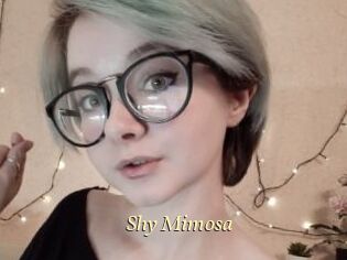 Shy_Mimosa