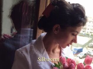 Silkworm