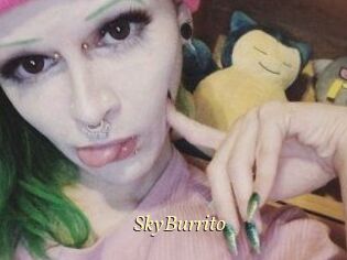 SkyBurrito
