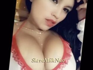 SlaveMilkNao
