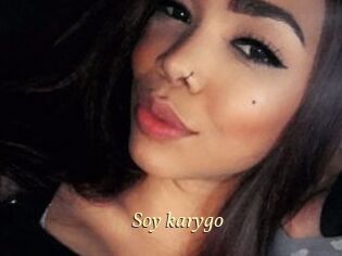 Soy_karygo