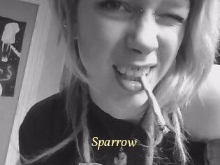 Sparrow