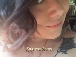SparrowSoars