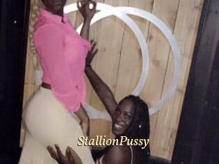 StallionPussy