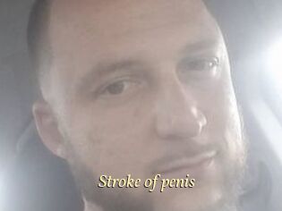 Stroke_of_penis