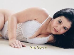 Harleyrey