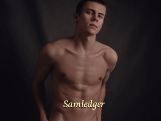 Samledger