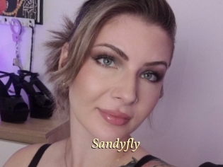 Sandyfly